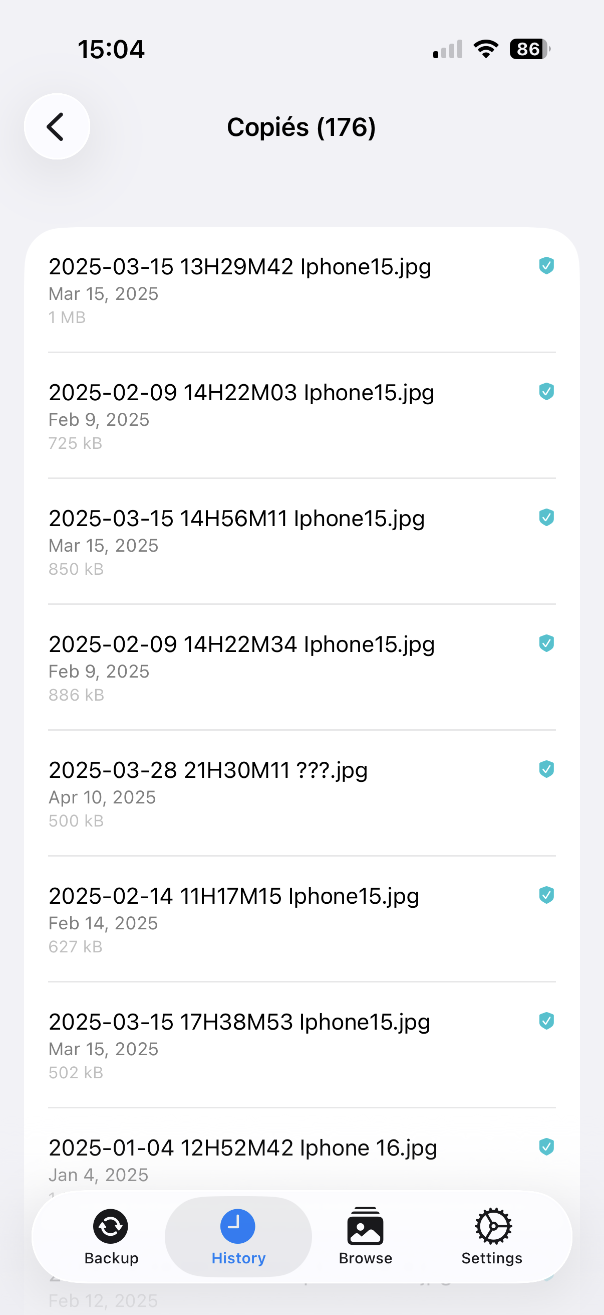 Report — copied files list (176 files)